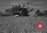 Standbild Weizenfeld Sowjetunion, 1941, aus Sekunde 18 historischem Filmmaterial Videoclip 65675040204