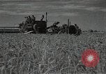 Standbild Weizenfeld Sowjetunion, 1941, aus Sekunde 19 historischem Filmmaterial Videoclip 65675040204