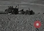 Standbild Weizenfeld Sowjetunion, 1941, aus Sekunde 22 historischem Filmmaterial Videoclip 65675040204
