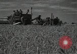 Standbild Weizenfeld Sowjetunion, 1941, aus Sekunde 23 historischem Filmmaterial Videoclip 65675040204