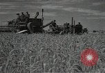 Standbild Weizenfeld Sowjetunion, 1941, aus Sekunde 24 historischem Filmmaterial Videoclip 65675040204