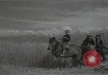 Standbild Weizenfeld Sowjetunion, 1941, aus Sekunde 29 historischem Filmmaterial Videoclip 65675040204