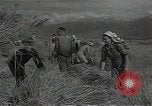 Standbild Weizenfeld Sowjetunion, 1941, aus Sekunde 42 historischem Filmmaterial Videoclip 65675040204