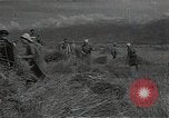 Standbild Weizenfeld Sowjetunion, 1941, aus Sekunde 45 historischem Filmmaterial Videoclip 65675040204