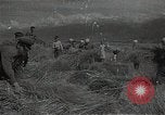 Standbild Weizenfeld Sowjetunion, 1941, aus Sekunde 46 historischem Filmmaterial Videoclip 65675040204