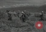 Standbild Weizenfeld Sowjetunion, 1941, aus Sekunde 48 historischem Filmmaterial Videoclip 65675040204