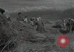 Standbild Weizenfeld Sowjetunion, 1941, aus Sekunde 49 historischem Filmmaterial Videoclip 65675040204