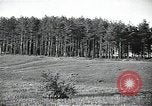 Image of Statue of Soviet worker and a collective farm woman raising a hammer and sickle over their heads Eastern Front European Theater, 1941, second 35 stock footage video 65675040205