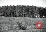 Image of Statue of Soviet worker and a collective farm woman raising a hammer and sickle over their heads Eastern Front European Theater, 1941, second 36 stock footage video 65675040205