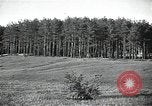 Image of Statue of Soviet worker and a collective farm woman raising a hammer and sickle over their heads Eastern Front European Theater, 1941, second 37 stock footage video 65675040205