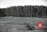 Image of Statue of Soviet worker and a collective farm woman raising a hammer and sickle over their heads Eastern Front European Theater, 1941, second 38 stock footage video 65675040205