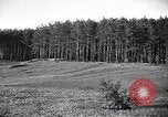 Image of Statue of Soviet worker and a collective farm woman raising a hammer and sickle over their heads Eastern Front European Theater, 1941, second 39 stock footage video 65675040205