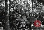 Image of Statue of Soviet worker and a collective farm woman raising a hammer and sickle over their heads Eastern Front European Theater, 1941, second 50 stock footage video 65675040205