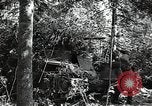 Image of Statue of Soviet worker and a collective farm woman raising a hammer and sickle over their heads Eastern Front European Theater, 1941, second 54 stock footage video 65675040205
