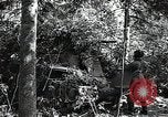 Image of Statue of Soviet worker and a collective farm woman raising a hammer and sickle over their heads Eastern Front European Theater, 1941, second 55 stock footage video 65675040205