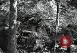 Image of Statue of Soviet worker and a collective farm woman raising a hammer and sickle over their heads Eastern Front European Theater, 1941, second 56 stock footage video 65675040205