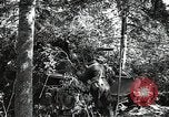 Image of Statue of Soviet worker and a collective farm woman raising a hammer and sickle over their heads Eastern Front European Theater, 1941, second 58 stock footage video 65675040205