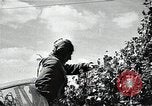 Image of Soviet forces defend against German offiensive Soviet Union, 1941, second 58 stock footage video 65675040206
