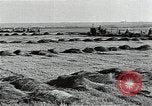 Image of Soviet farmers harvest wheat during World War 2 Soviet Union, 1941, second 12 stock footage video 65675040210