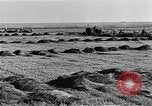 Image of Soviet farmers harvest wheat during World War 2 Soviet Union, 1941, second 13 stock footage video 65675040210