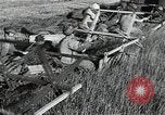 Image of Soviet farmers harvest wheat during World War 2 Soviet Union, 1941, second 14 stock footage video 65675040210