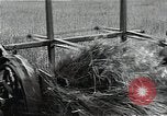 Image of Soviet farmers harvest wheat during World War 2 Soviet Union, 1941, second 19 stock footage video 65675040210