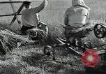 Image of Soviet farmers harvest wheat during World War 2 Soviet Union, 1941, second 21 stock footage video 65675040210
