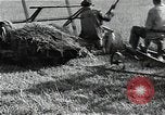 Image of Soviet farmers harvest wheat during World War 2 Soviet Union, 1941, second 24 stock footage video 65675040210