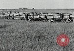 Image of Soviet farmers harvest wheat during World War 2 Soviet Union, 1941, second 29 stock footage video 65675040210