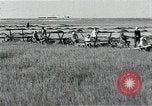 Image of Soviet farmers harvest wheat during World War 2 Soviet Union, 1941, second 31 stock footage video 65675040210