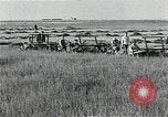 Image of Soviet farmers harvest wheat during World War 2 Soviet Union, 1941, second 33 stock footage video 65675040210