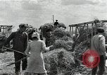 Image of Soviet farmers harvest wheat during World War 2 Soviet Union, 1941, second 38 stock footage video 65675040210