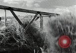 Image of Soviet farmers harvest wheat during World War 2 Soviet Union, 1941, second 42 stock footage video 65675040210