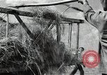 Image of Soviet farmers harvest wheat during World War 2 Soviet Union, 1941, second 43 stock footage video 65675040210