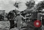 Image of Soviet farmers harvest wheat during World War 2 Soviet Union, 1941, second 46 stock footage video 65675040210