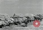 Image of Soviet farmers harvest wheat during World War 2 Soviet Union, 1941, second 47 stock footage video 65675040210
