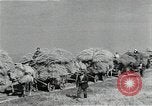 Image of Soviet farmers harvest wheat during World War 2 Soviet Union, 1941, second 48 stock footage video 65675040210