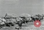 Image of Soviet farmers harvest wheat during World War 2 Soviet Union, 1941, second 49 stock footage video 65675040210