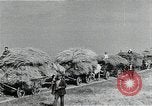 Image of Soviet farmers harvest wheat during World War 2 Soviet Union, 1941, second 50 stock footage video 65675040210