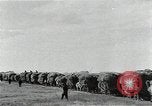Image of Soviet farmers harvest wheat during World War 2 Soviet Union, 1941, second 52 stock footage video 65675040210