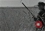 Image of Wheat harvesting combine Soviet Union, 1941, second 10 stock footage video 65675040215