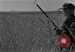 Image of Wheat harvesting combine Soviet Union, 1941, second 11 stock footage video 65675040215