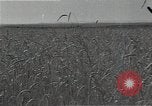 Image of Wheat harvesting combine Soviet Union, 1941, second 14 stock footage video 65675040215