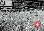 Image of Wheat harvesting combine Soviet Union, 1941, second 37 stock footage video 65675040215