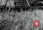 Image of Wheat harvesting combine Soviet Union, 1941, second 38 stock footage video 65675040215