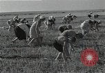 Image of Wheat harvesting combine Soviet Union, 1941, second 51 stock footage video 65675040215