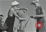Image of Wheat harvesting combine Soviet Union, 1941, second 56 stock footage video 65675040215
