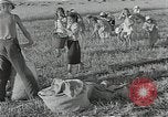 Image of Wheat harvesting combine Soviet Union, 1941, second 58 stock footage video 65675040215