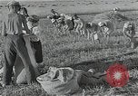 Image of Wheat harvesting combine Soviet Union, 1941, second 60 stock footage video 65675040215
