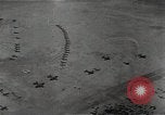Image of Russian pilots Abadan Iran, 1944, second 31 stock footage video 65675040216